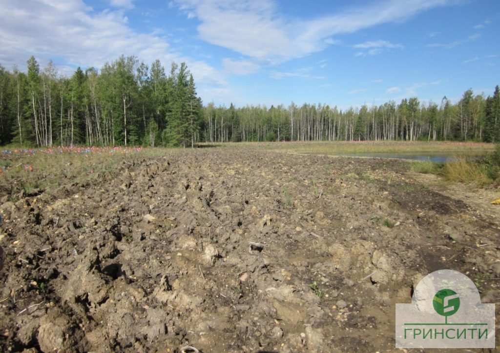 Рекультивация земель фото